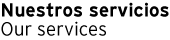 Our Services. Nuestros servicios Smart Chemicals